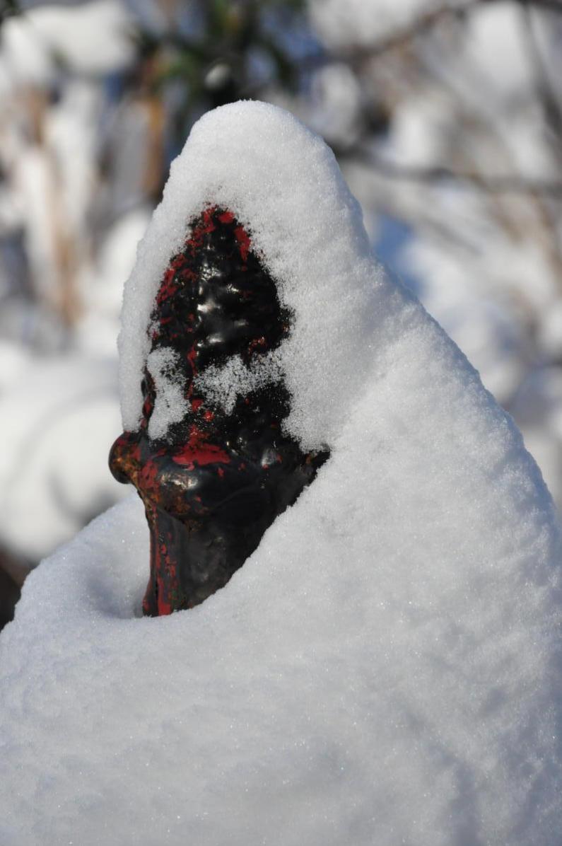 De top van het hek steekt uit de sneeuw